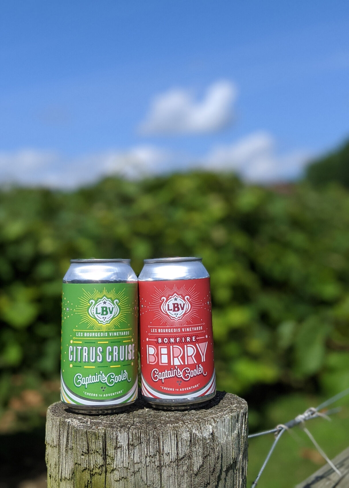Les Bourgeois Vineyards Coolers